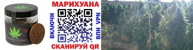 купить наркотик  Красноармейск  Печенье с ТГК конопля 
