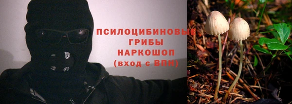 трава Наволоки