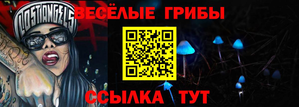 Красноармейск  Галлюциногенные грибы мухоморы  Вход с VPN 